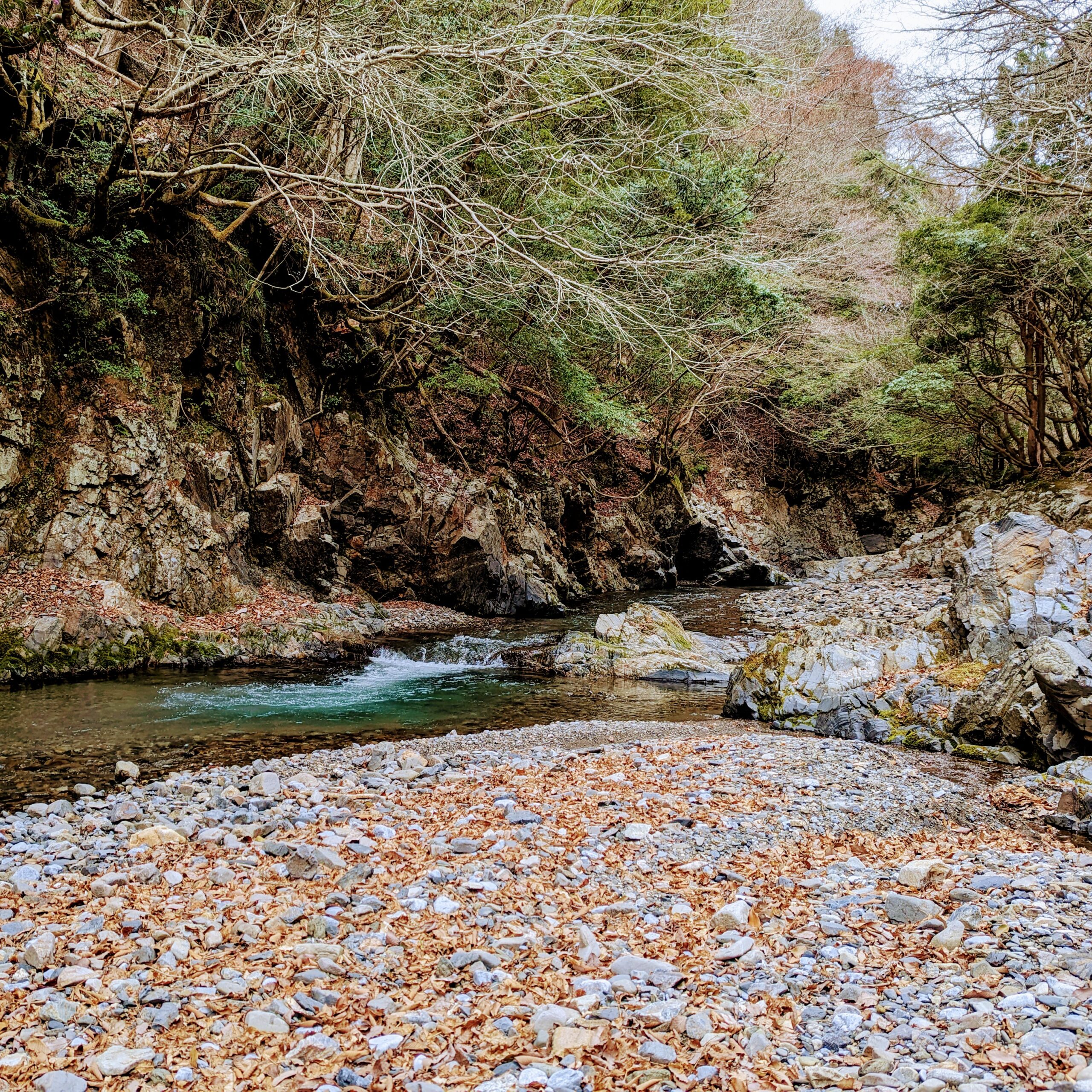 渓流釣り