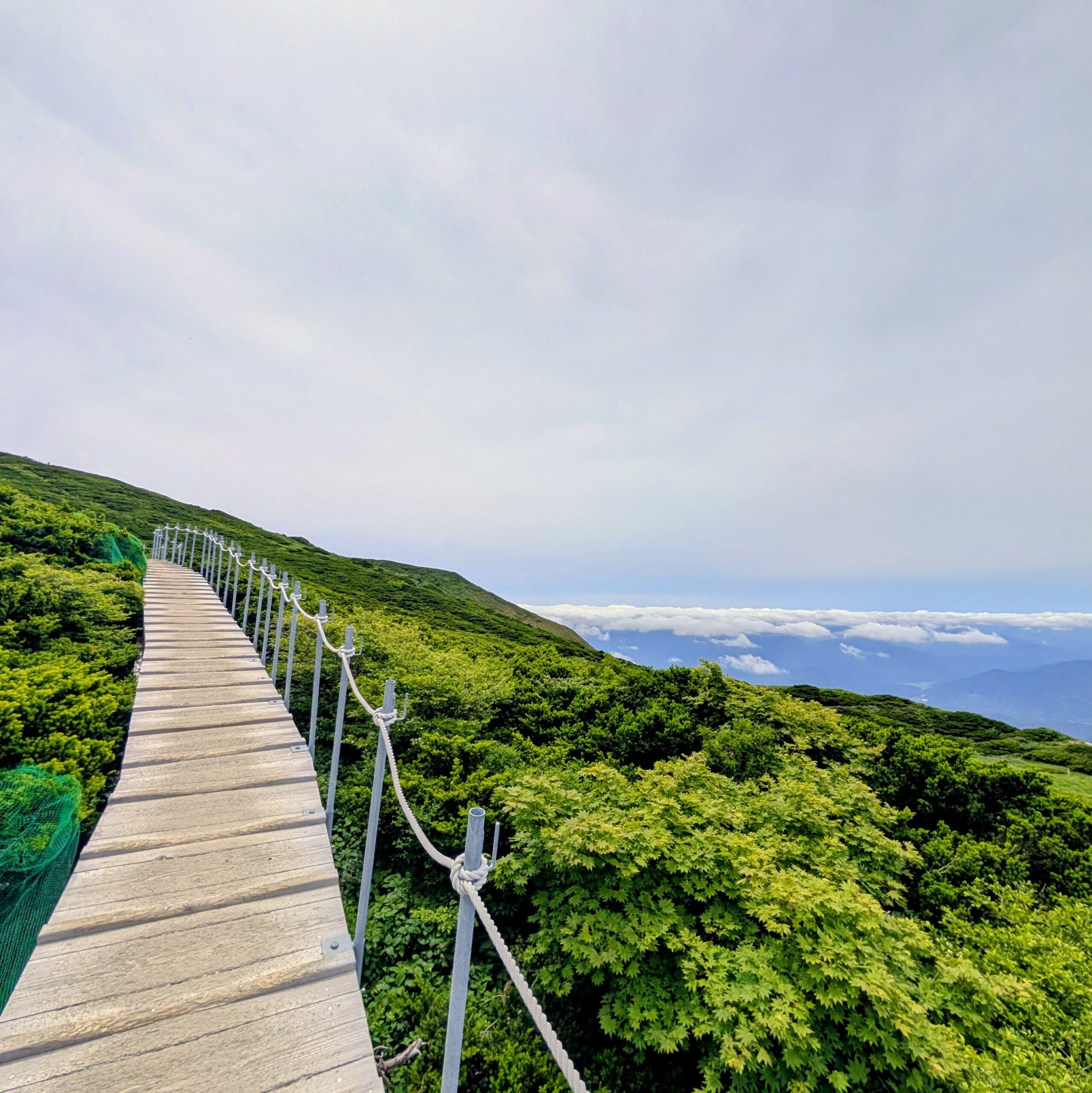 伯耆大山に登山