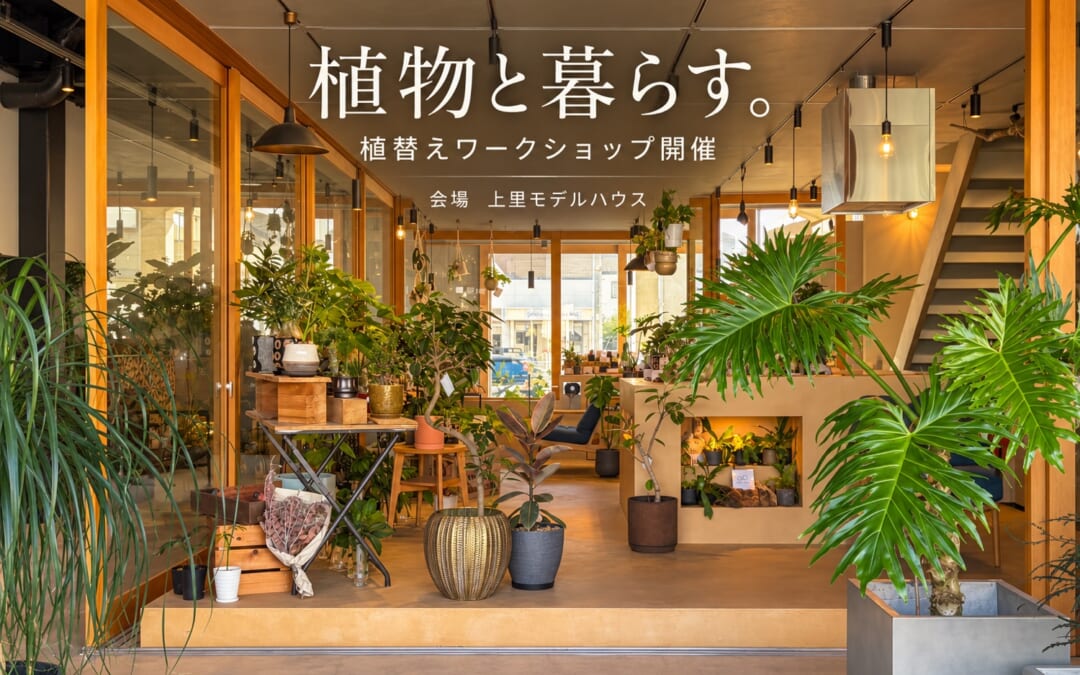 植物と暮らす。植替えワークショップ